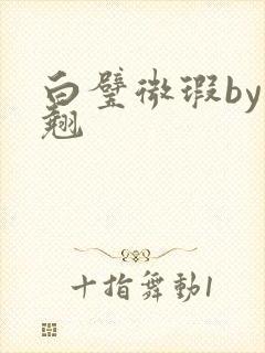 白璧微瑕by连翘