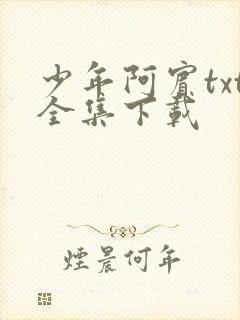少年阿宾txt全集下载