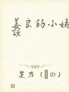 善良的小姨子小说