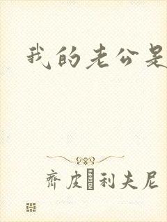 我的老公是军阀