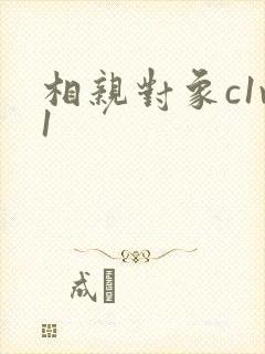 相亲对象c1v1