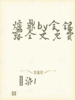 炉鼎by金银花露全文免费阅读笔趣阁