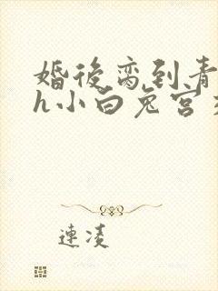 婚后脔到青梅哭h小白兔宫交h