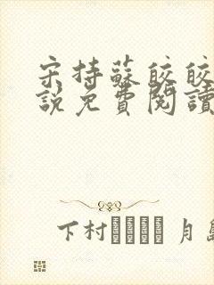 宋持苏皎皎的小说免费阅读