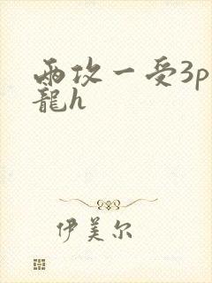 两攻一受3p双龙h