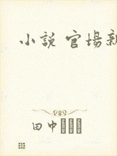 小说 官场新贵