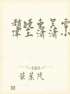 赵晓东吴雪晴郑伟王潇潇小说