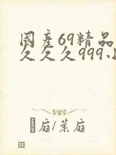 国产69精品久久久久999小说