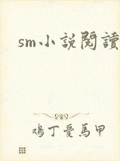 sm小说阅读