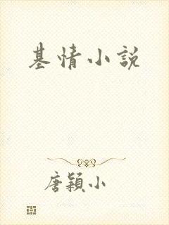 基情小说