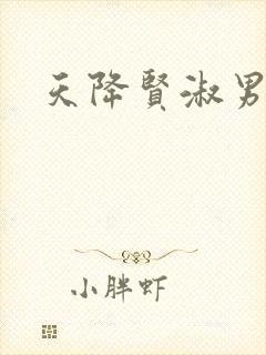 天降贤淑男小说