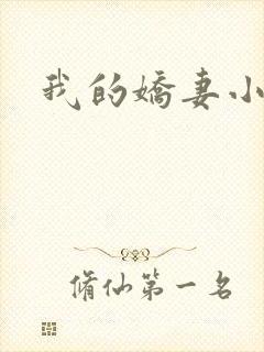 我的娇妻小说
