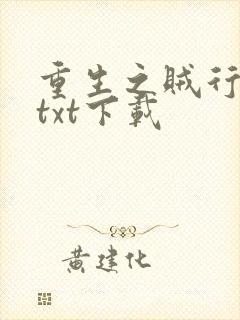 重生之贼行天下txt下载
