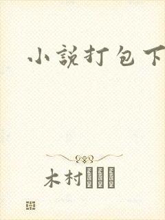 小说打包下载