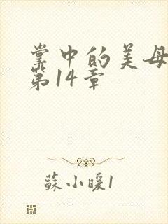 掌中的美母版主第14章