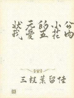 状元的小公主(我爱五花肉)