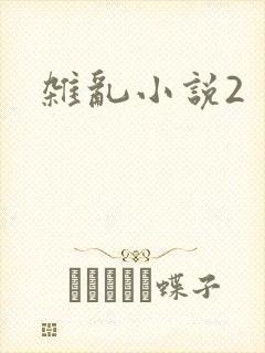 杂乱小说2