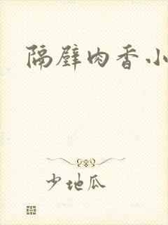 隔壁肉香小说