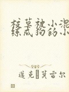 校草被小混混训练成狗的小说