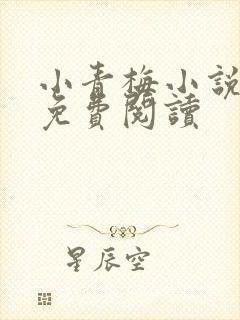 小青梅小说全文免费阅读