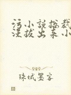 污小说总裁整夜没拔出来小说在线阅读