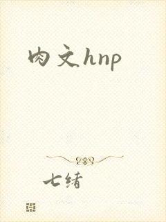 肉文hnp