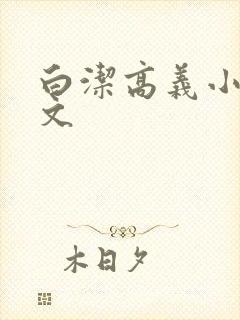 白洁高义小说全文