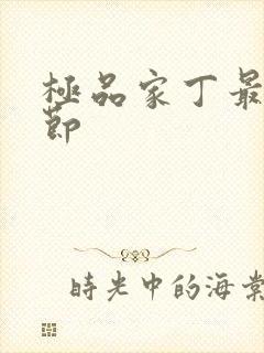 极品家丁最新章节