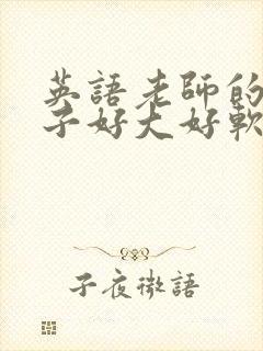 英语老师的小兔子好大好软水