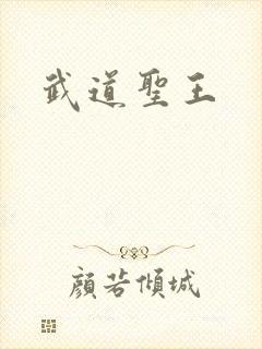 武道圣王