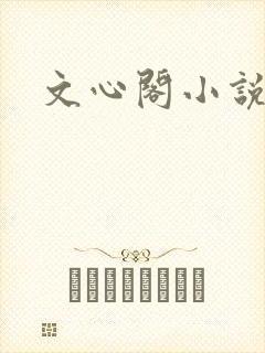 文心阁小说