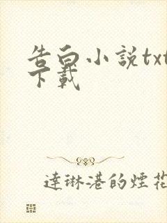 告白小说txt下载