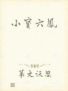 小宝六凤