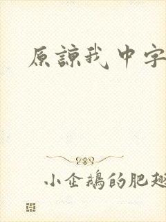 原谅我中字