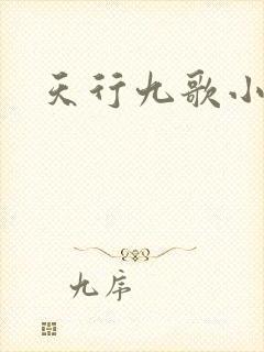 天行九歌小说
