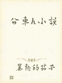 公车h小说