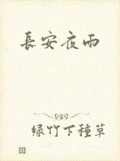 长安夜雨