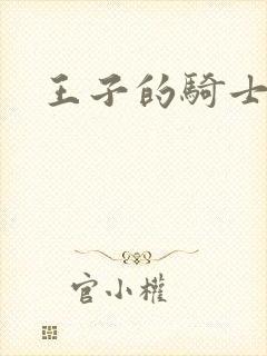 王子的骑士小说