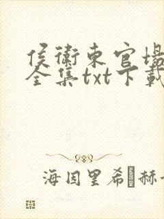 侯卫东官场笔记全集txt下载