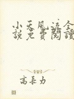 小天风流全集小说免费阅读