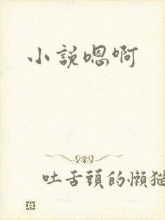 小说嗯啊