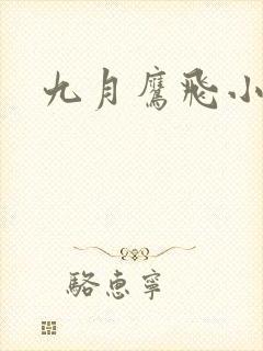 九月鹰飞小说