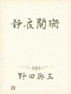 静夜阑珊