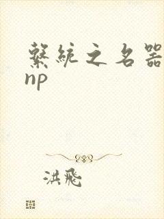 系统之名器攻略np