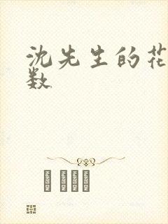 沈先生的花式调数