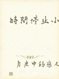 时间停止小说