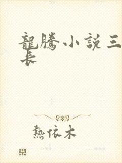 龙腾小说三宝局长