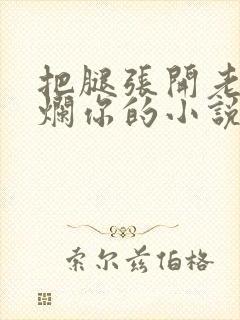 把腿张开老子臊烂你的小说