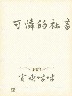 可怜的社畜小说