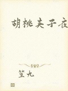 胡桃夹子夜未眠